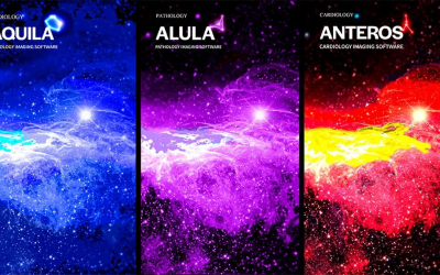 The results of team work by Diagnostico Journal