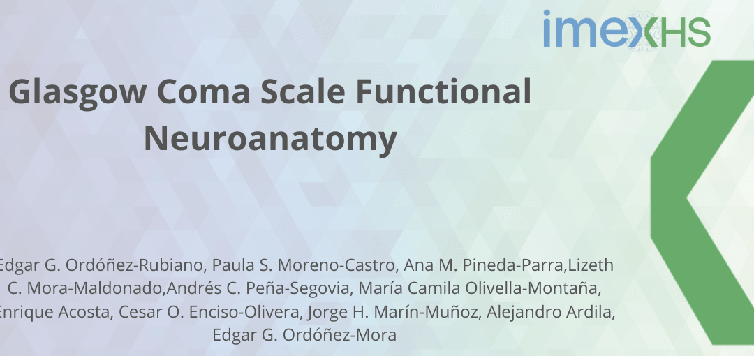 Glasgow Coma Scale Functional Neuroanatomy