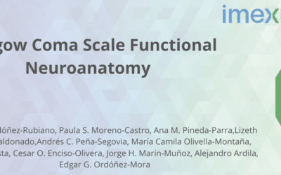 Glasgow Coma Scale Functional Neuroanatomy