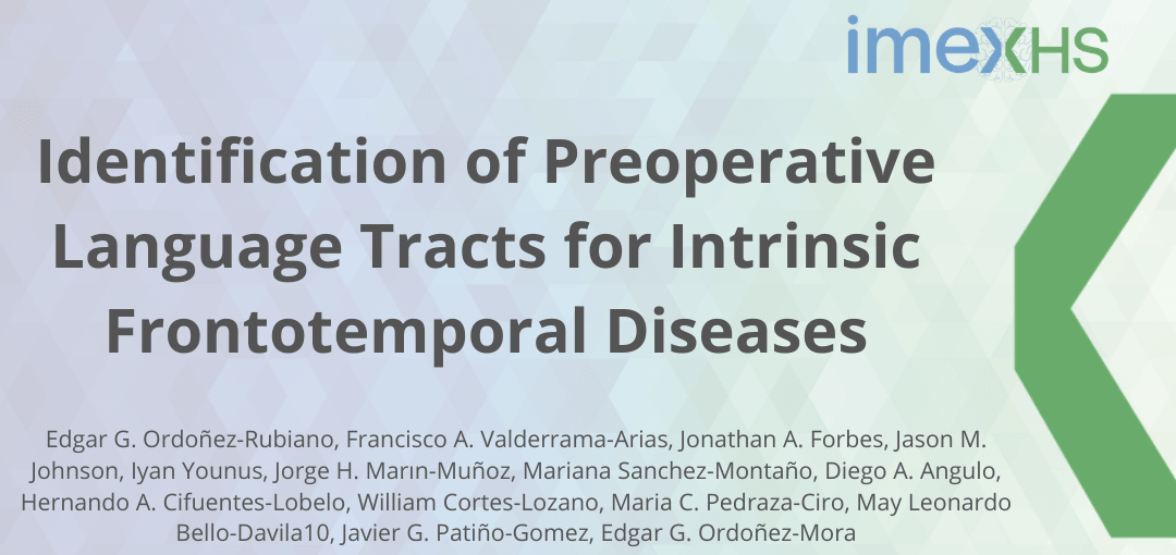 Identification of Preoperative Language Tracts for Intrinsic Frontotemporal Diseases: A Pilot Reconstruction Algorithm in a Middle-Income Country