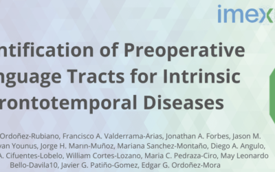 Identification of Preoperative Language Tracts for Intrinsic Frontotemporal Diseases: A Pilot Reconstruction Algorithm in a Middle-Income Country