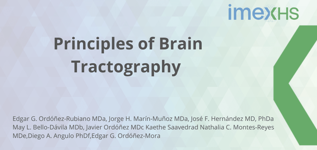Principles of Brain Tractography