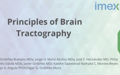 Principles of Brain Tractography