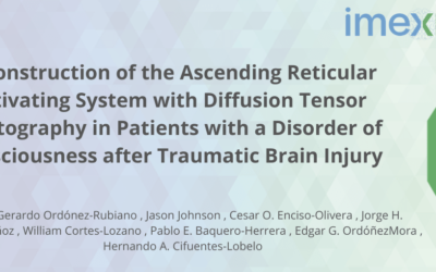 Reconstruction of the Ascending Reticular Activating System with Diffusion Tensor Tractography in Patients with a Disorder of Consciousness after Traumatic Brain Injury