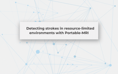 Detecting strokes in resource-limited environments with Portable-MRI