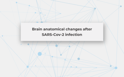 Brain anatomical changes after SARS-Cov-2 infection